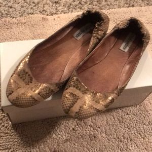 Reptile print, Steve Madden flats